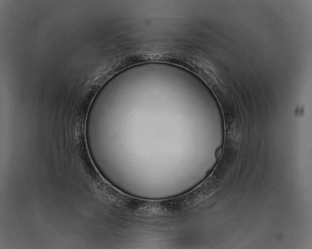 X0000090460503200708031244