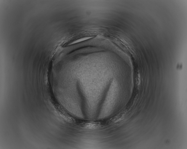 X0000090460504200708031244