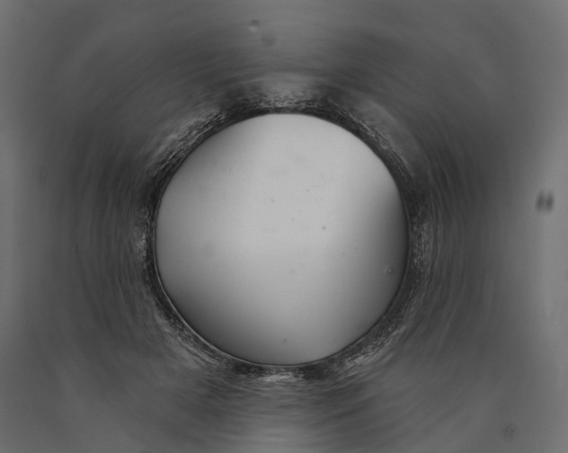 X0000090460505200708031244