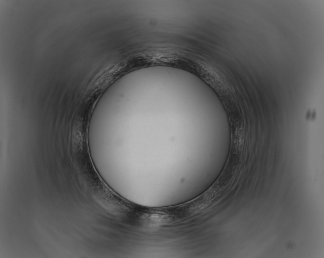 X0000090460506200708031244