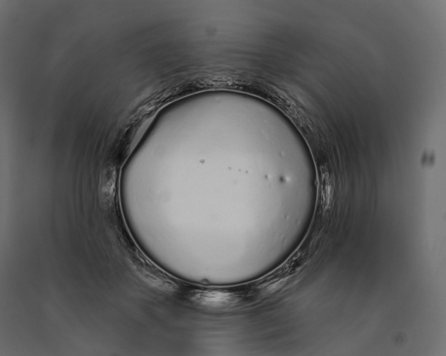 X0000090460507200708031244