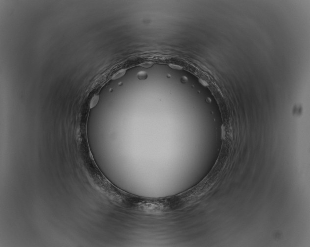 X0000090460512200708031244