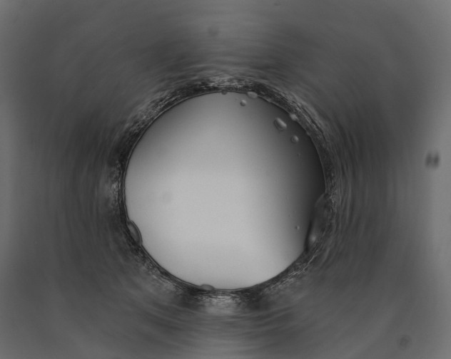 X0000090460513200708031244