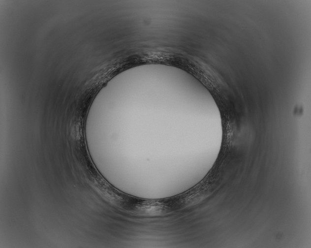 X0000090460514200708031244