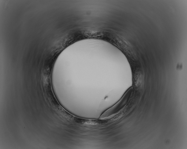 X0000090460515200708031244