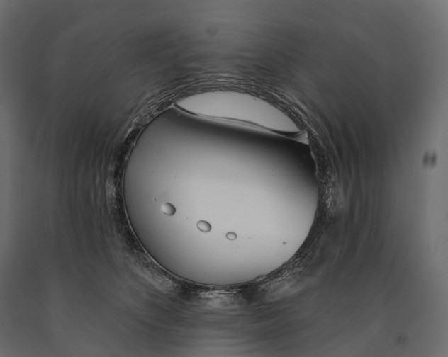 X0000090460516200708031244