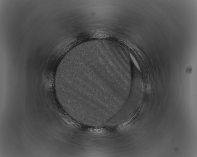 X0000090460517200708031244