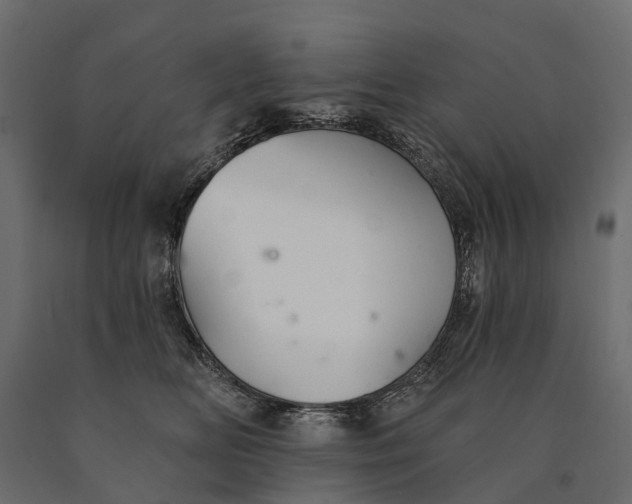 X0000090460518200708031244