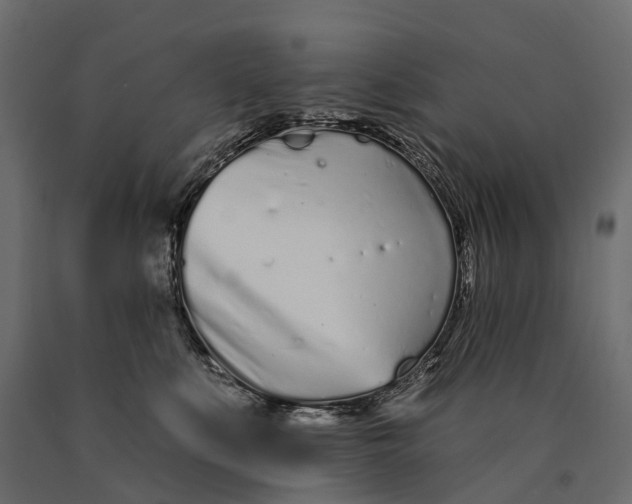 X0000090460519200708031244