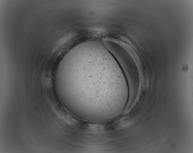 X0000090460520200708031244