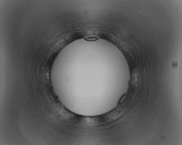 X0000090460522200708031244