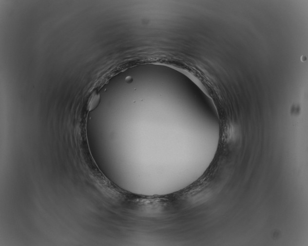 X0000090460524200708031244