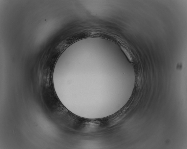 X0000090460525200708031244