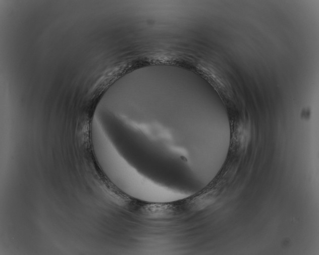 X0000090460526200708031244