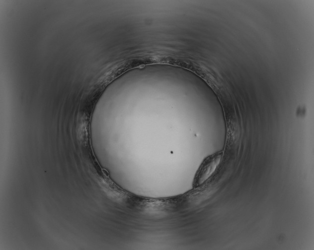 X0000090460527200708031244