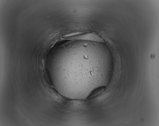 X0000090460528200708031244