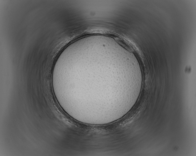 X0000090460529200708031243