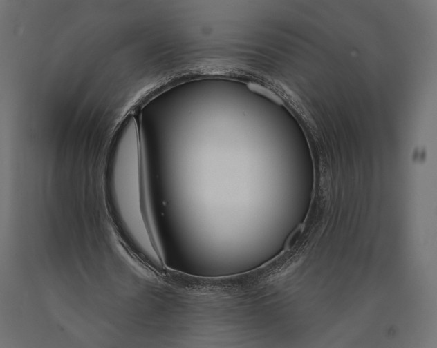 X0000090460530200708031243