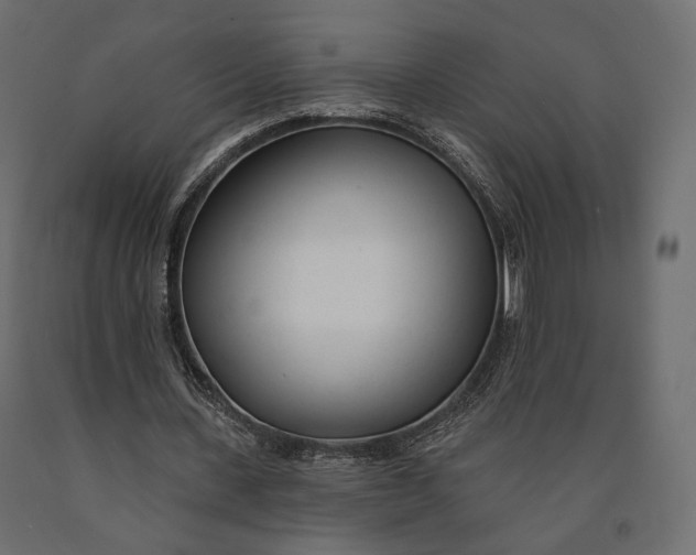 X0000090460531200708031243