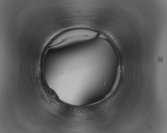 X0000090460532200708031243
