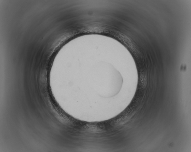 X0000090460534200708031243