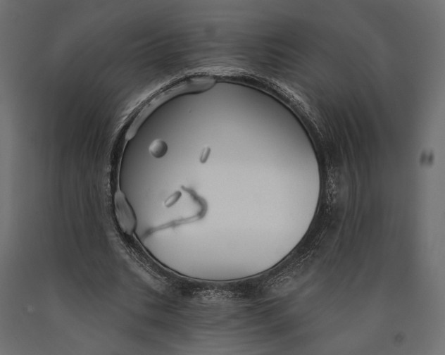 X0000090460535200708031243