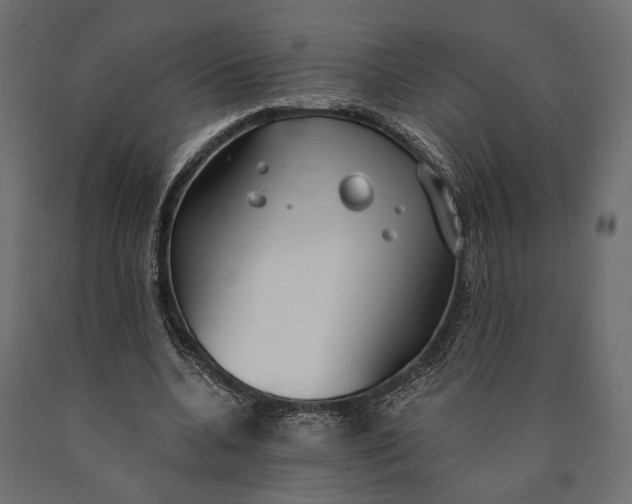 X0000090460536200708031244