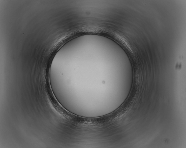 X0000090460538200708031244