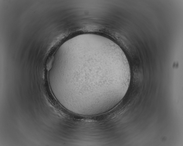 X0000090460539200708031244