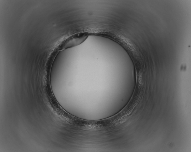 X0000090460540200708031244