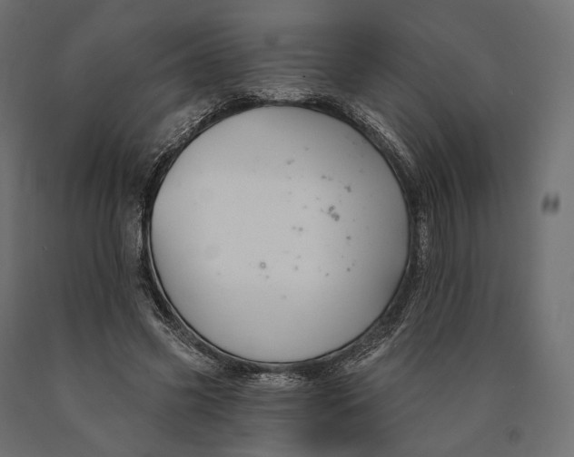 X0000090460541200708031244