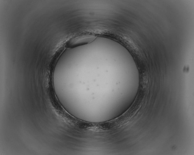 X0000090460544200708031244