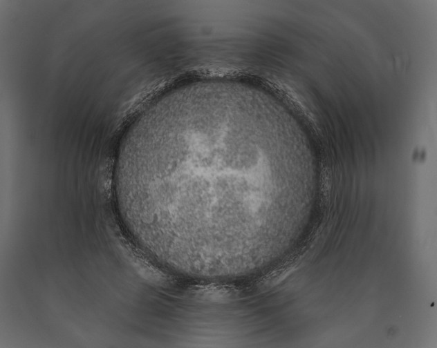 X0000090460545200708031244