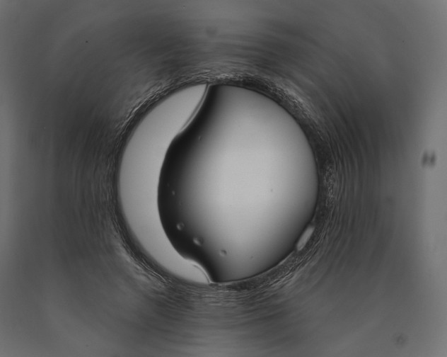 X0000090460546200708031244