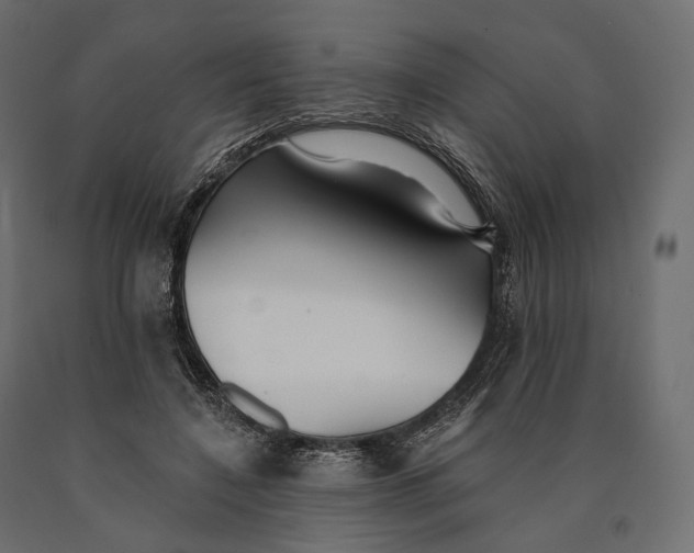 X0000090460548200708031244
