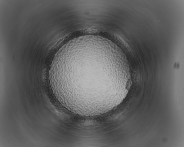 X0000090460549200708031244