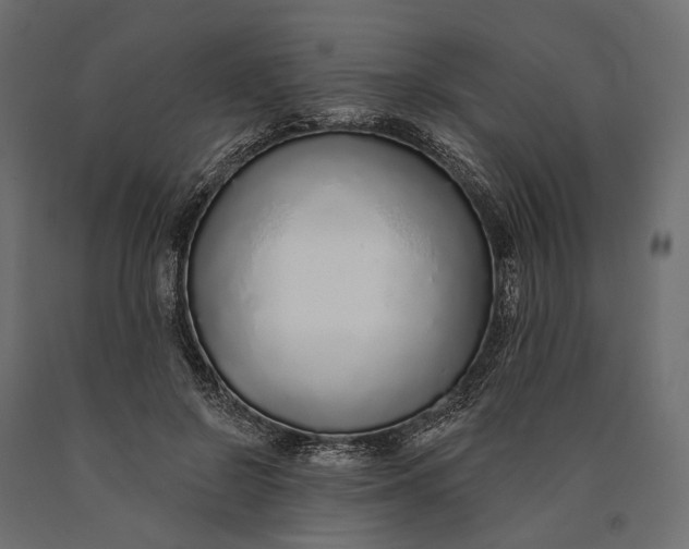 X0000090460550200708031244