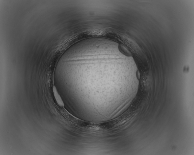X0000090460551200708031244