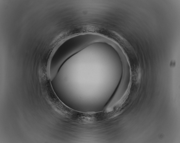 X0000090460552200708031244