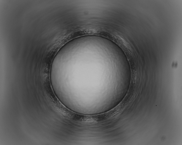 X0000090460553200708031244
