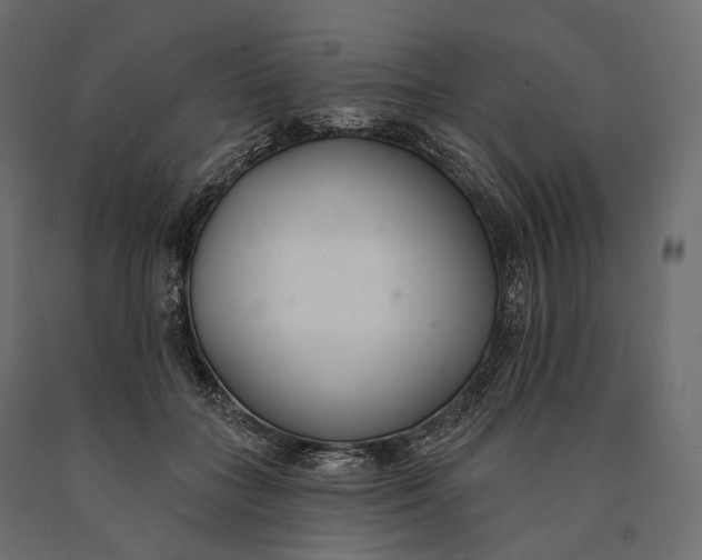 X0000090460555200708031244
