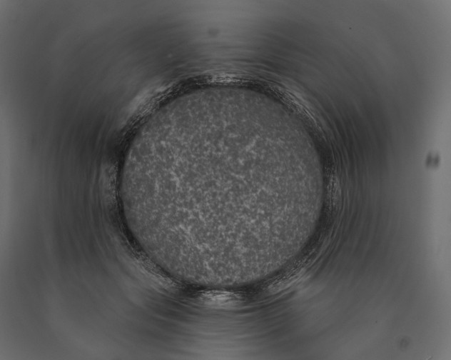 X0000090460557200708031244