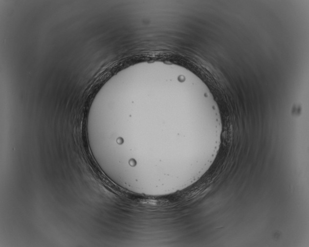 X0000090460558200708031244