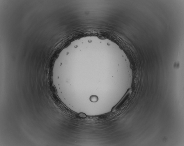 X0000090460560200708031244