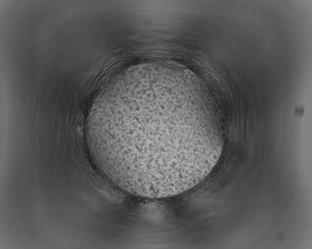 X0000090460561200708031244