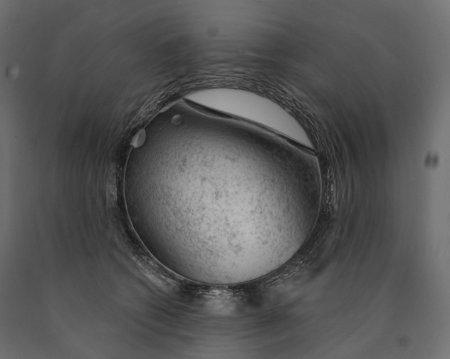 X0000090460562200708031244