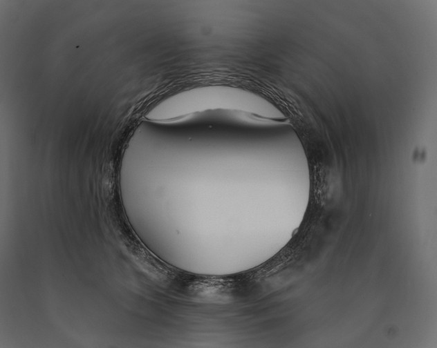 X0000090460563200708031244