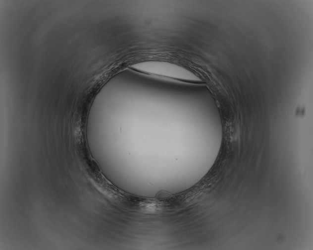 X0000090460564200708031244