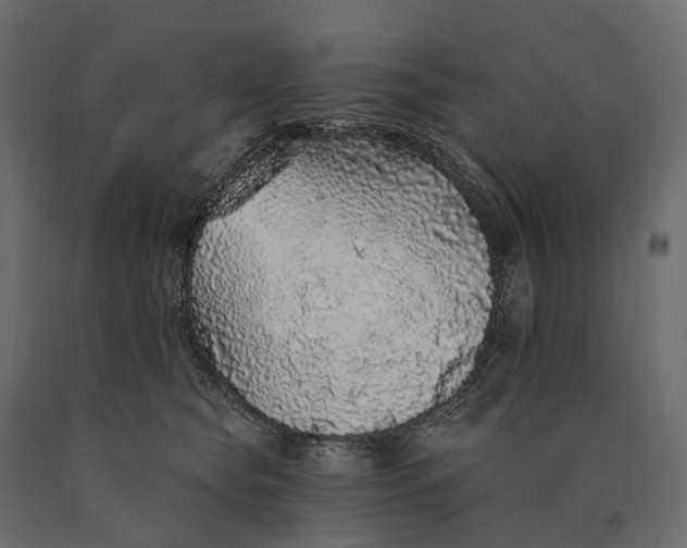 X0000090460565200708031244