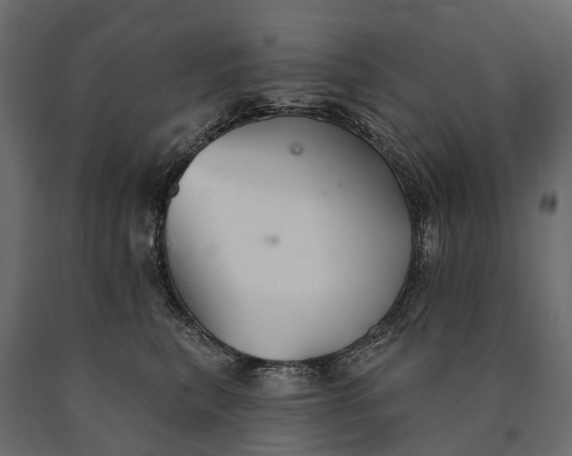 X0000090460567200708031244